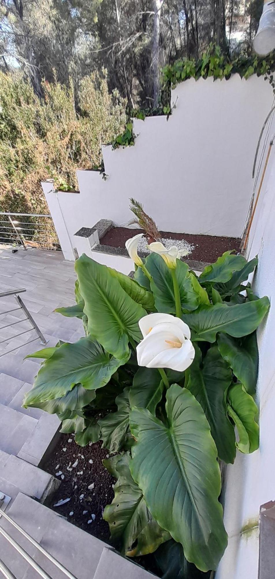 Villa Avril Piscina Privada Y Amplias Terrazas Olivella Luaran gambar